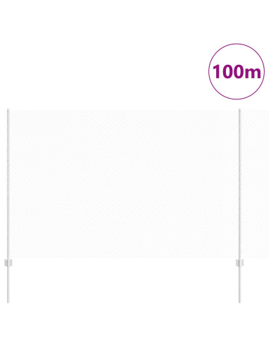 Recinzione con Posto Argento 1,6 x 100 m Acciaio