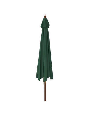 Ombrellone da Giardino con Palo in Legno Verde 400x273 cm