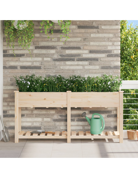 Piantana da Giardino  con Scaffale 161x43x76 cm in Legno Massello di Pino