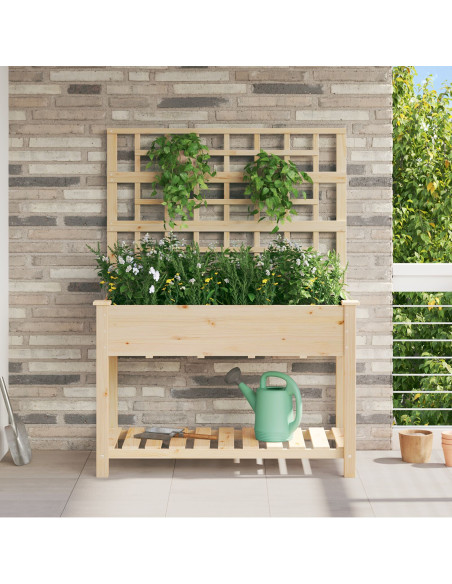 Fioriera da giardino con traliccio e ripiano 115x59x152 cm in legno massello di abete