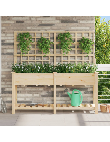 Vaso da Giardino  con Trellis e Ripiano 161x43x152 cm in Legno Massello di Pino