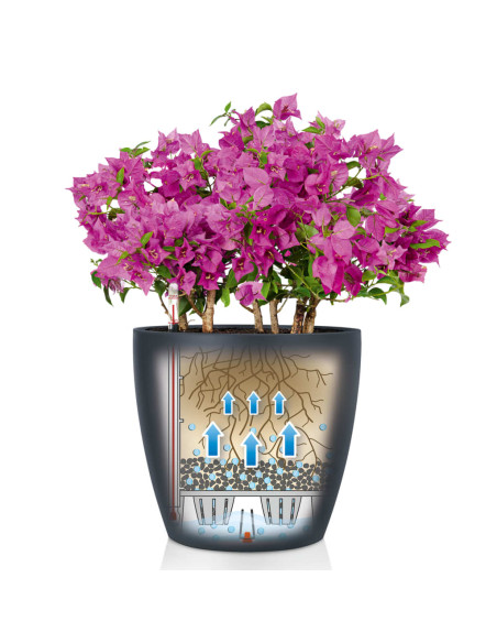 LECHUZA Fioriera Classico Color 43 ALL-IN-ONE Ardesia 13244