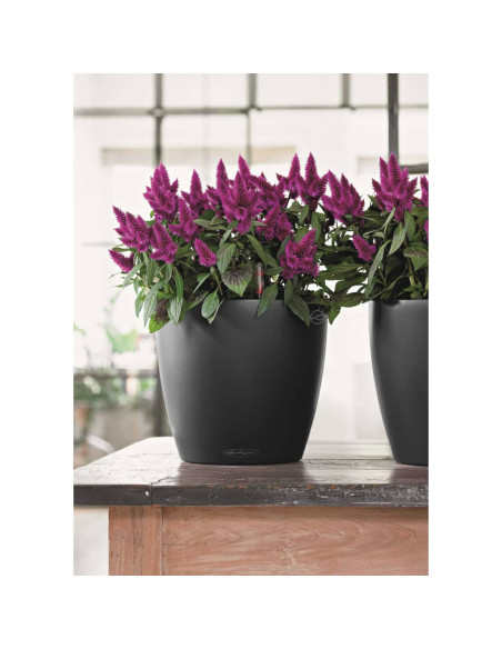 LECHUZA Fioriera Classico Color 43 ALL-IN-ONE Ardesia 13244