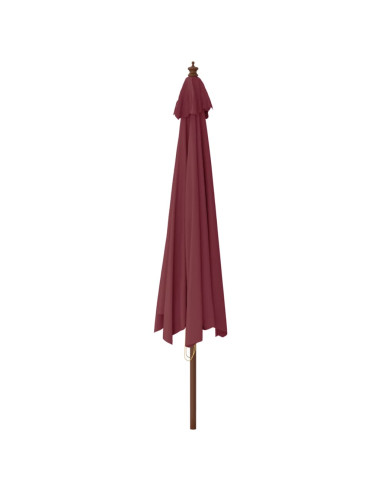 Ombrellone da Giardino con Palo Legno Rosso Bordeaux 400x273 cm