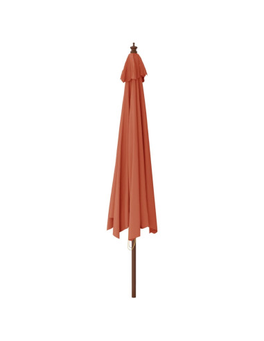 Ombrellone da Giardino con Palo in Legno Terracotta 400x273 cm