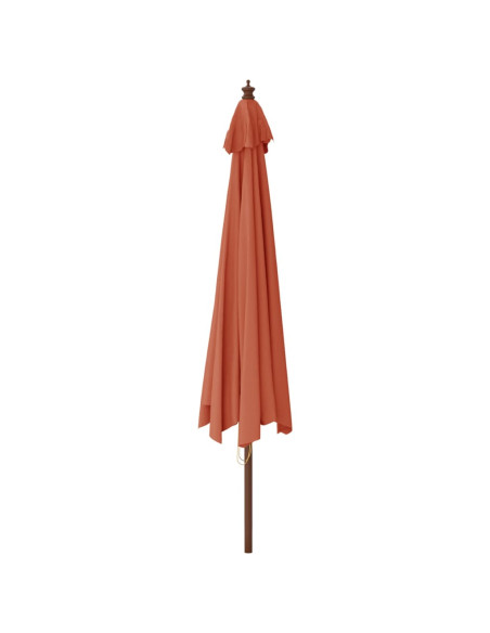 Ombrellone da Giardino con Palo in Legno Terracotta 400x273 cm