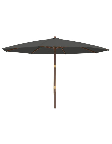 Ombrellone da Giardino con Palo in Legno Antracite 400x273 cm