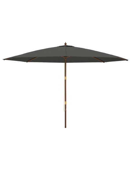 Ombrellone da Giardino con Palo in Legno Antracite 400x273 cm