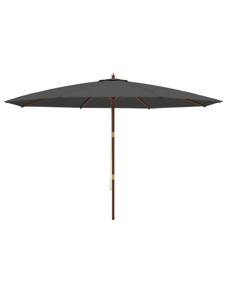 Ombrellone da Giardino con Palo in Legno Antracite 400x273 cm