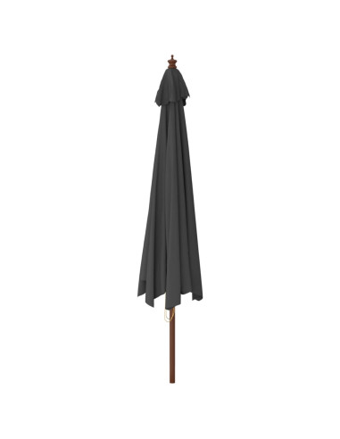 Ombrellone da Giardino con Palo in Legno Antracite 400x273 cm