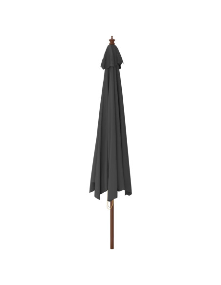 Ombrellone da Giardino con Palo in Legno Antracite 400x273 cm