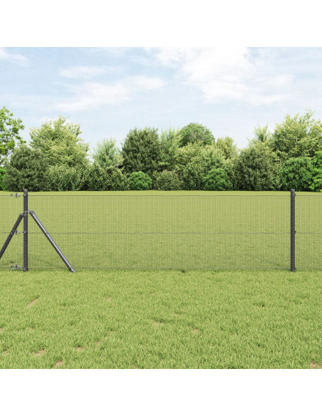Recinzione in Filo Saldato  con 13 Post Grigio 0,6x50 m Acciaio