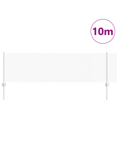 Recinzione con Posto Argento 0,6 x 10 m Acciaio