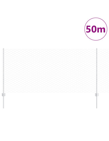 Recinzione con Posto Argento 1 x 50 m Acciaio