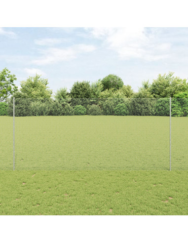 Recinzione con Posto Argento 1,4 x 50 m Acciaio