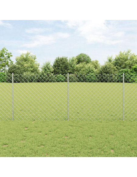 Recinzione a catena  con 20 post in argento 1x10 m acciaio