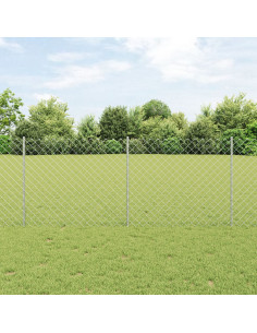 Recinzione con Posto Argento 1 x 25 m Acciaio 2