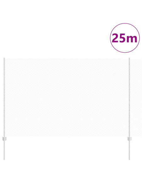 Recinzione con Posto Argento 1,6 x 25 m Acciaio