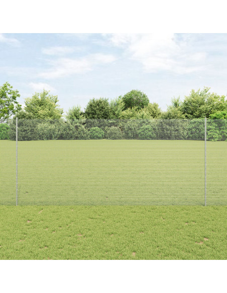 Recinzione con Posto Argento 1,4 x 50 m Acciaio