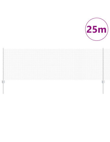 Recinzione con Posto Argento 0,8 x 25 m Acciaio