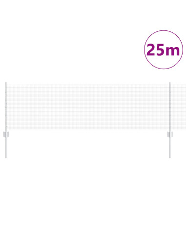 Recinzione con Posto Argento 0,6 x 25 m Acciaio