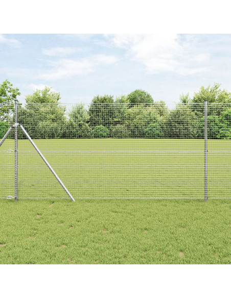 Recinzione in Filo Saldato  con 13 Post 1,2x50 m Acciaio Galvanizzato