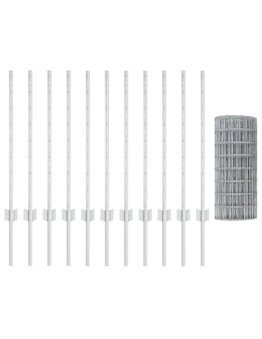 Recinzione con Posto Argento 0,8 x 25 m Acciaio