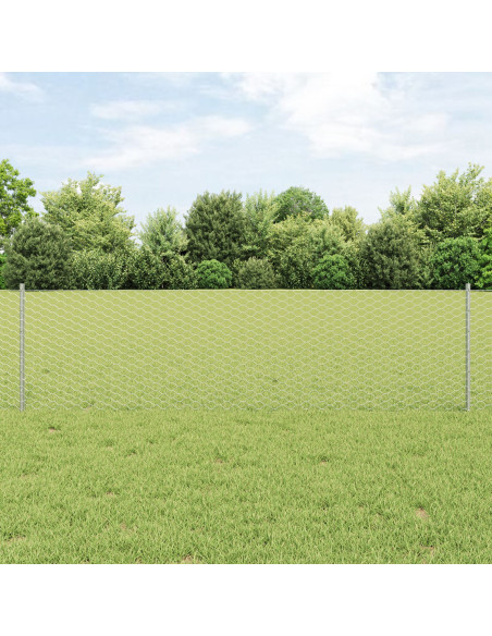 Pali per Recinzione 5 pz U-Channel 60 cm Acciaio Zincato,  Recinzione Esagonale 0.6x10 m Acciaio Zincato