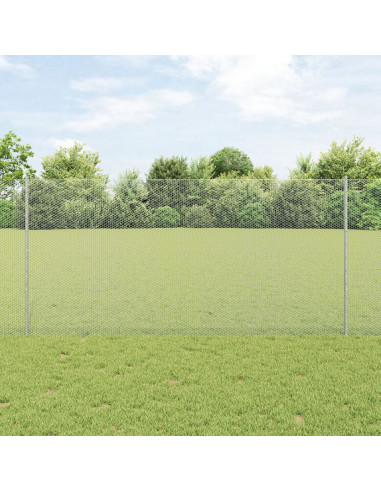 Recinzione con Posto Argento 1,2 x 10 m Acciaio