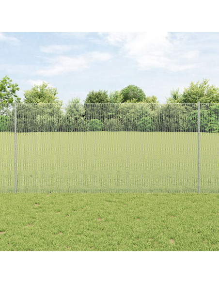 Recinzione con Posto Argento 1,2 x 10 m Acciaio