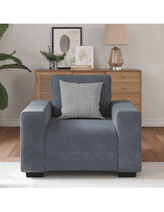 Divano Sedia Grigio Scuro 60 cm Velluto 2
