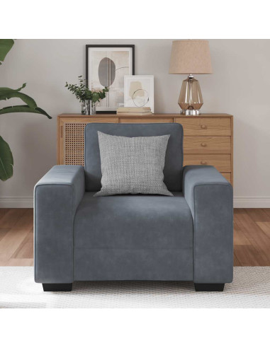 Divano Sedia Grigio Scuro 60 cm Velluto