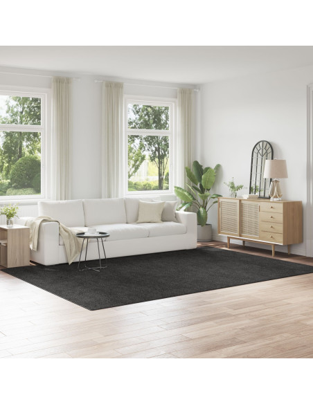 Tappeto Shaggy con retro in lattice grigio scuro 240x340 cm