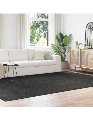 Tappeto Shaggy Antiscivolo Grigio scuro 240 x 340 cm PP