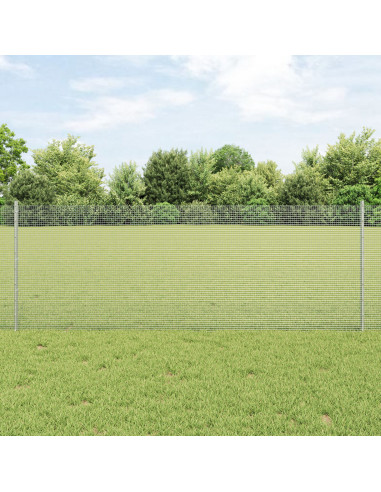 Recinzione con Posto Argento 0,8 x 10 m Acciaio