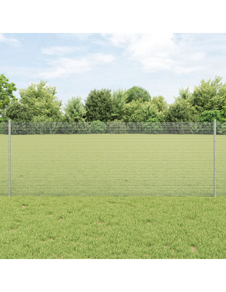 Recinzione in Rete Saldato  con 5 Pali Argento 0.8x10 m Acciaio