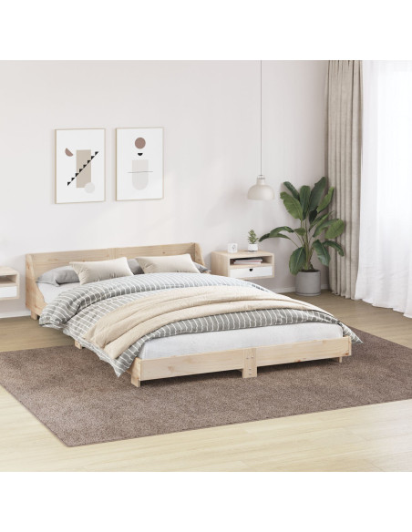 Tappeto Shaggy con retro in lattice Marrone 240x340 cm