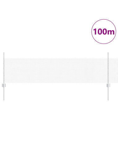 Recinzione con Posto Argento 0,5 x 100 m Acciaio