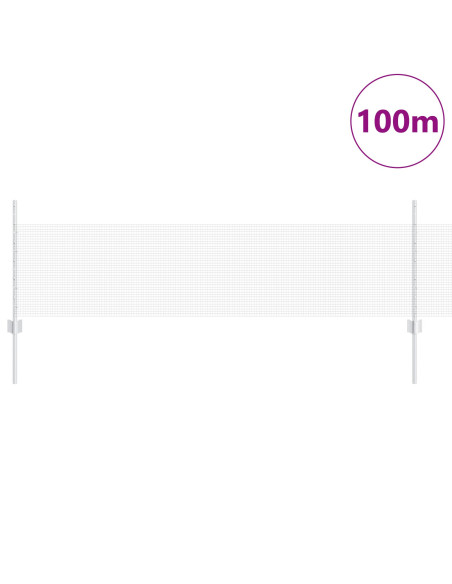 Recinzione con Posto Argento 0,5 x 100 m Acciaio