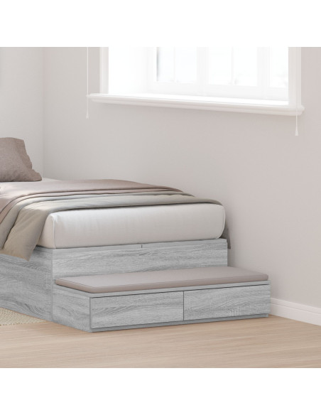 Cassetti per letto  Grigio Sonoma 100x36,5x16,5 cm in legno ingegnerizzato