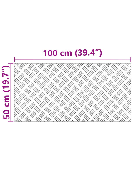 Gradini per Scale 4 pcs Argento 100 x 50 cm Alluminio