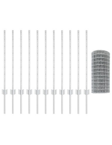 Recinzione con Posto Argento 0,8 x 25 m Acciaio