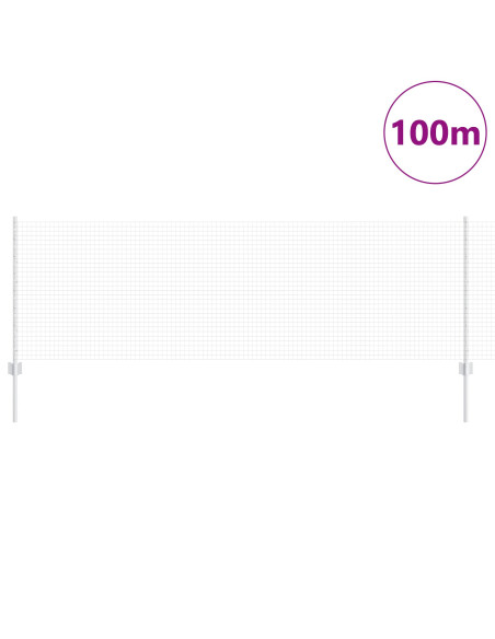 Recinzione con Posto Argento 0,8 x 100 m Acciaio