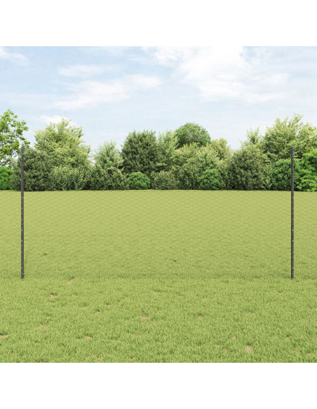 Set di Recinzioni da Giardino in Metallo Set di 2 Grigio, Nero