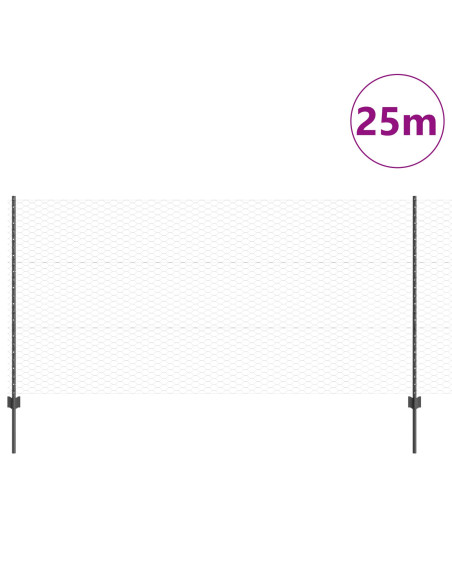 Set di Recinzioni da Giardino in Metallo Set di 2 Grigio, Nero