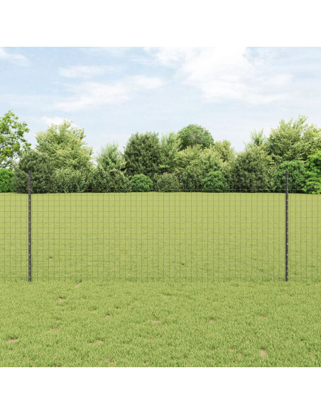 Set di Recinzioni da Giardino  2 Pezzi Grigio Metallo 10 x 1 m