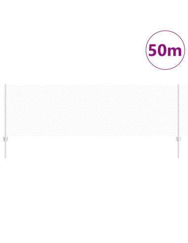 Recinzione con Posto Argento 0,8 x 50 m Acciaio