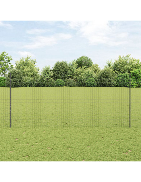 Set di Rotoli di Recinzione  Set di 2 Grigio Metallo 10 x 1.4 m