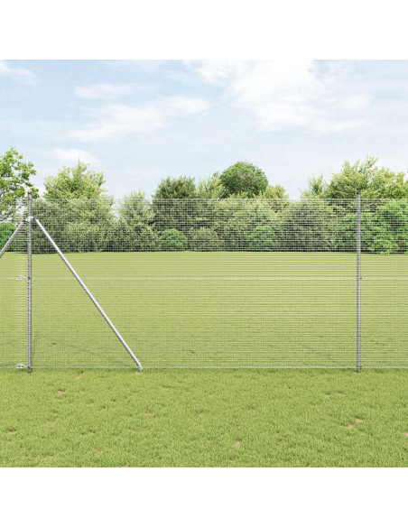 Recinzione in rete saldata  con 13 posti a spillo 1.5x50 m Acciaio galvanizzato