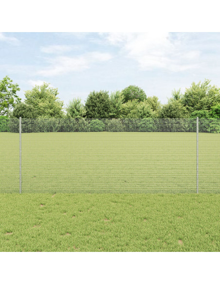 Recinzione con Posto Argento 1 x 10 m Acciaio